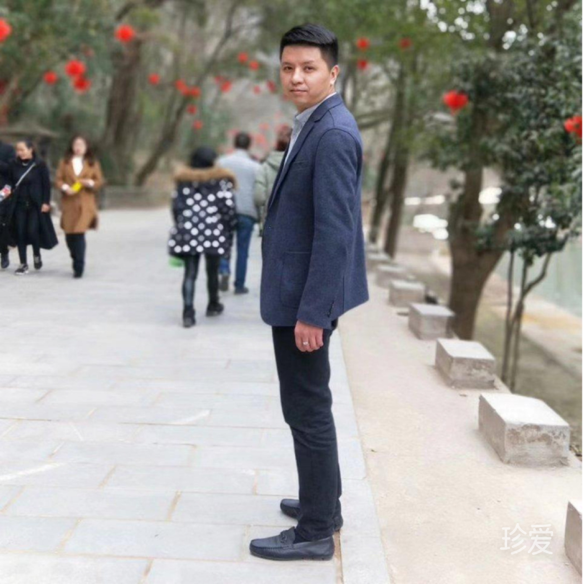 为你停刘