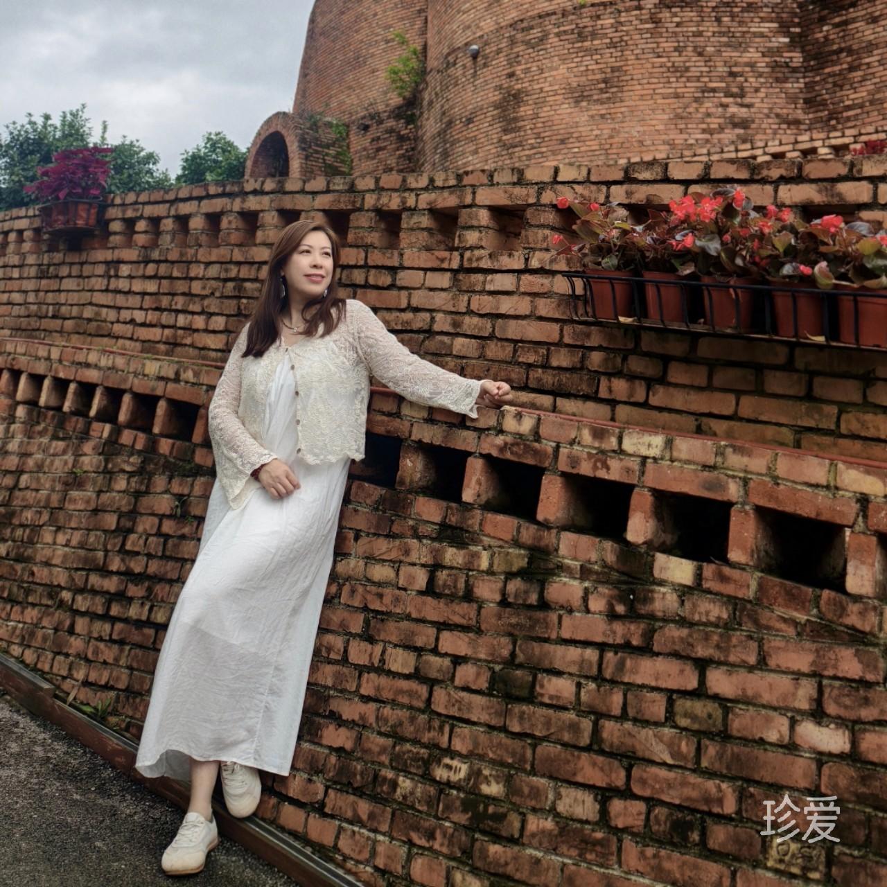 傲雪寒梅独自香