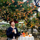 陪你看夕陽(yáng)