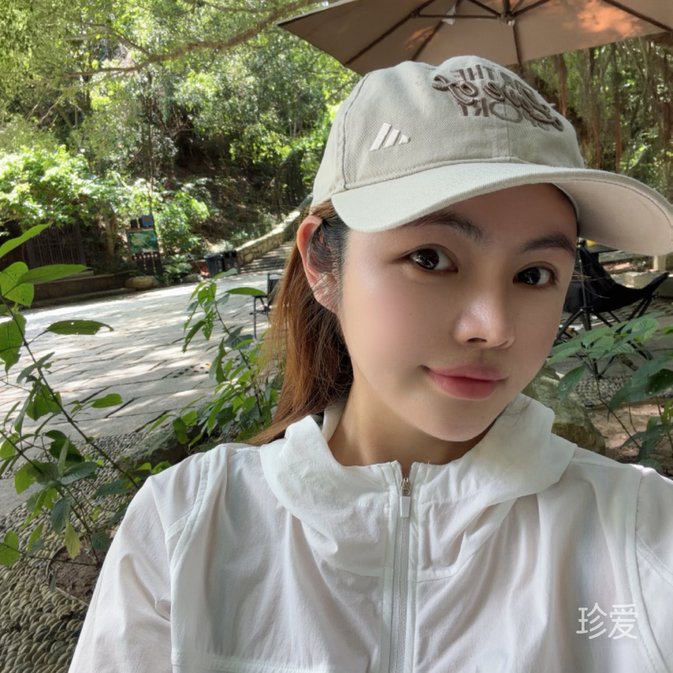 是庭