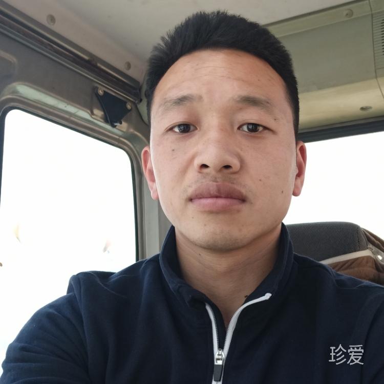 偉大的戰(zhàn)士Hachi