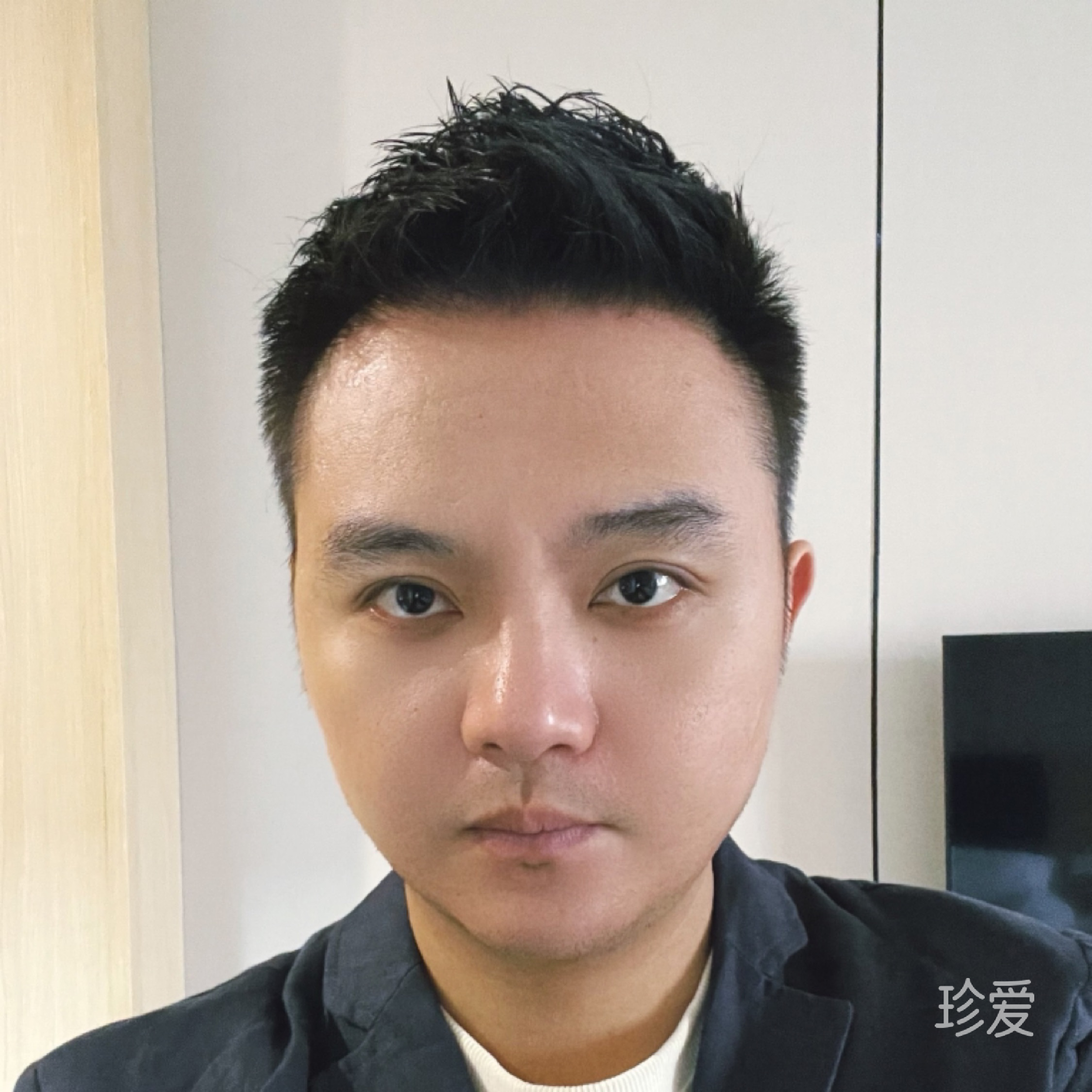 特洛伊王子