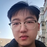 银狐