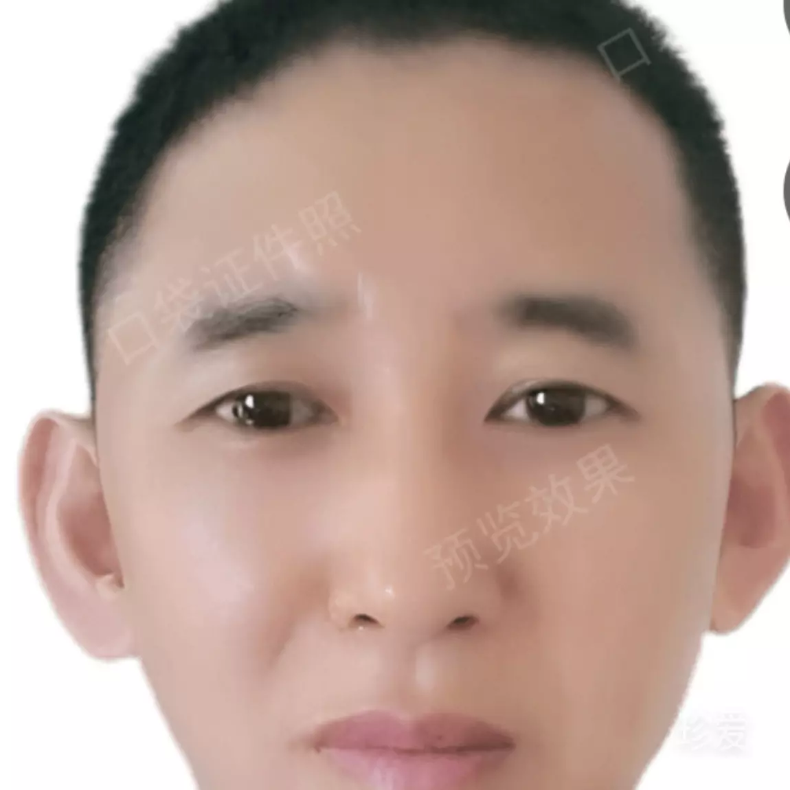 因为爱着你的爱