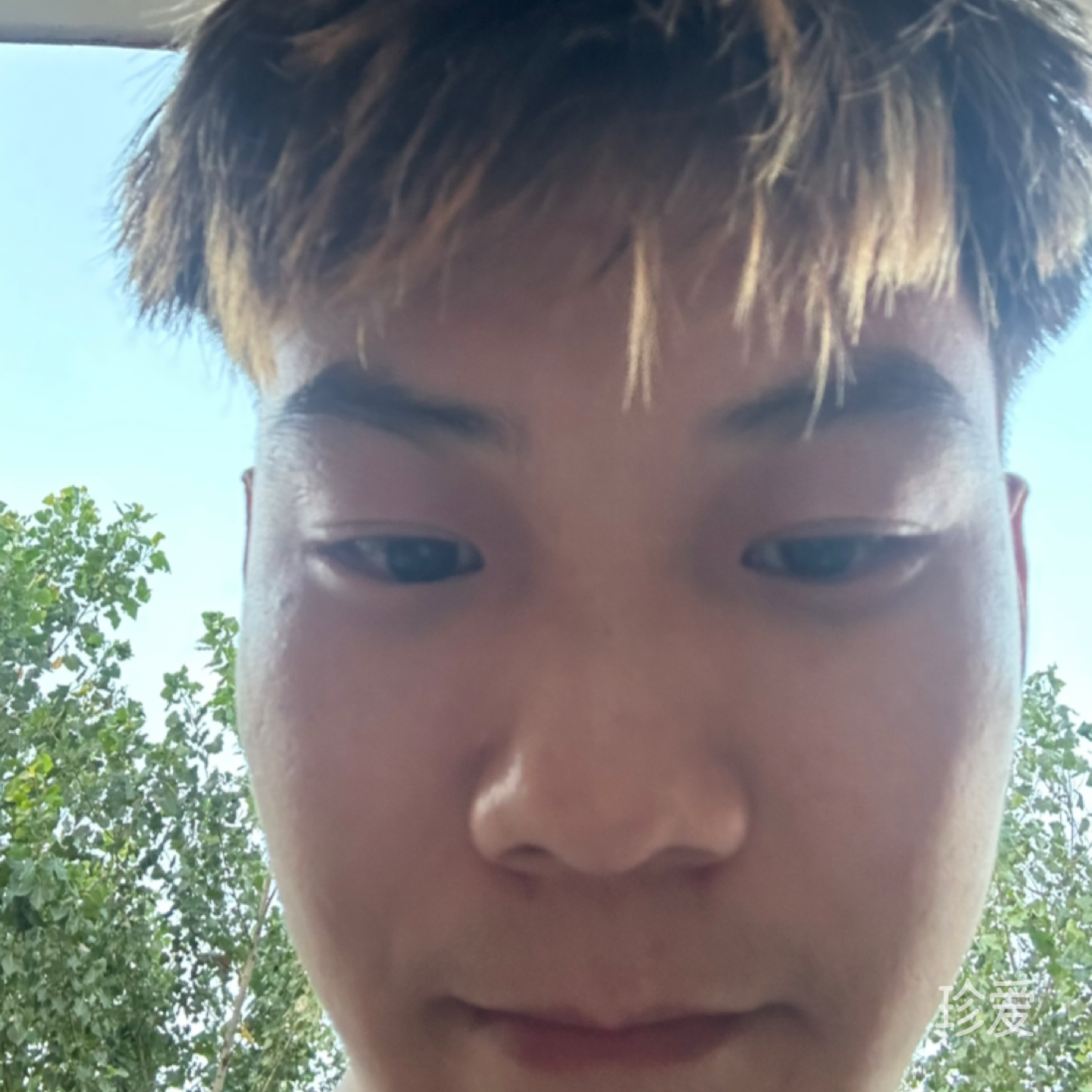 做你的守护天使