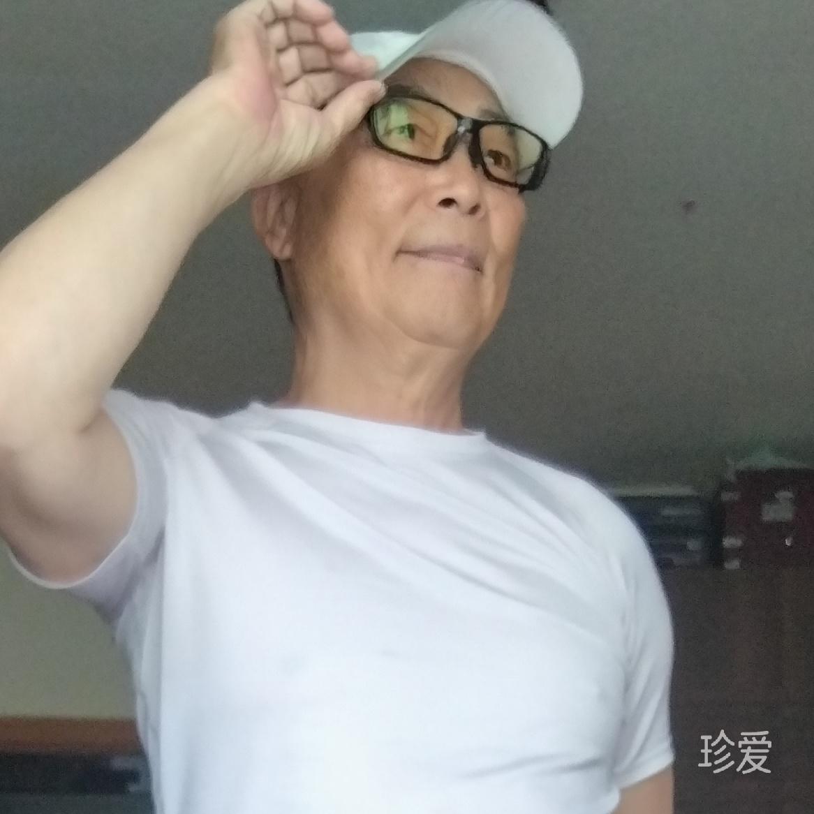 阳光大猫