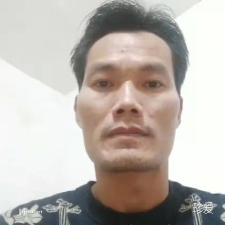 寻找心灵港湾