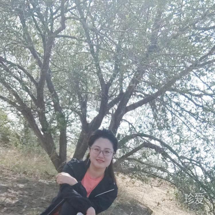 等爱的玫瑰