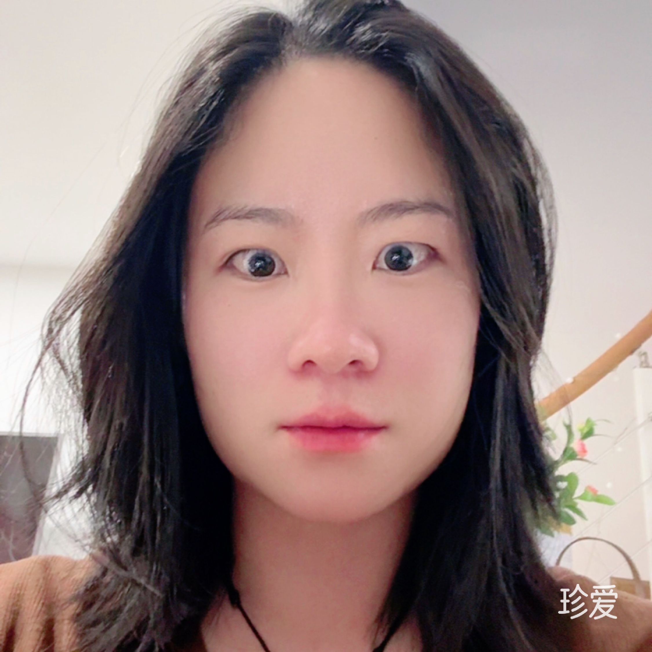 塔塔