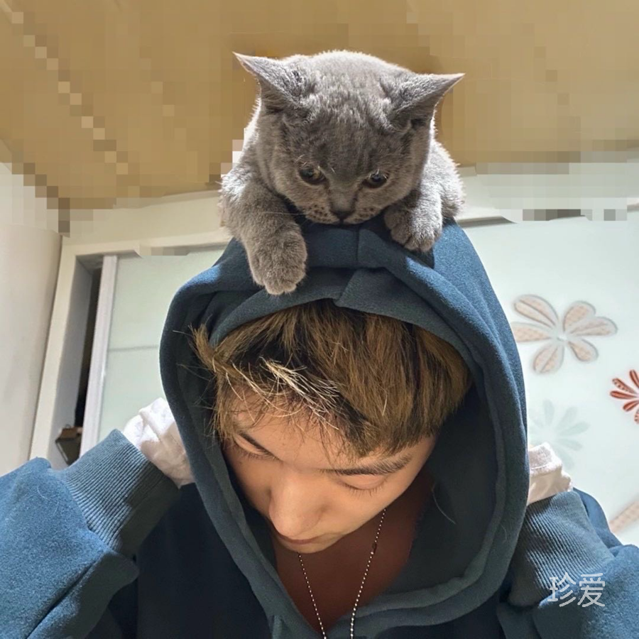 黄晴天