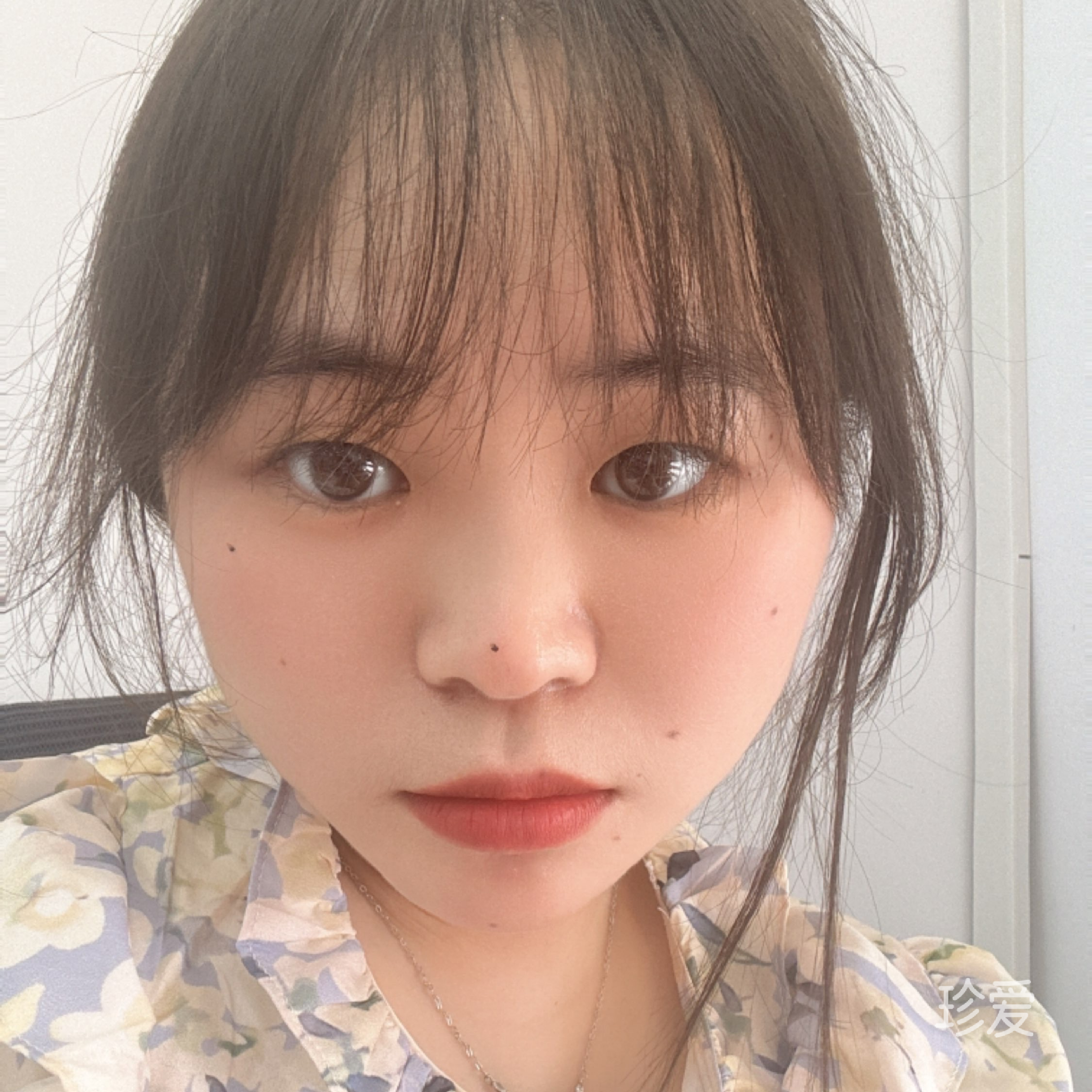 柠檬树上柠檬果