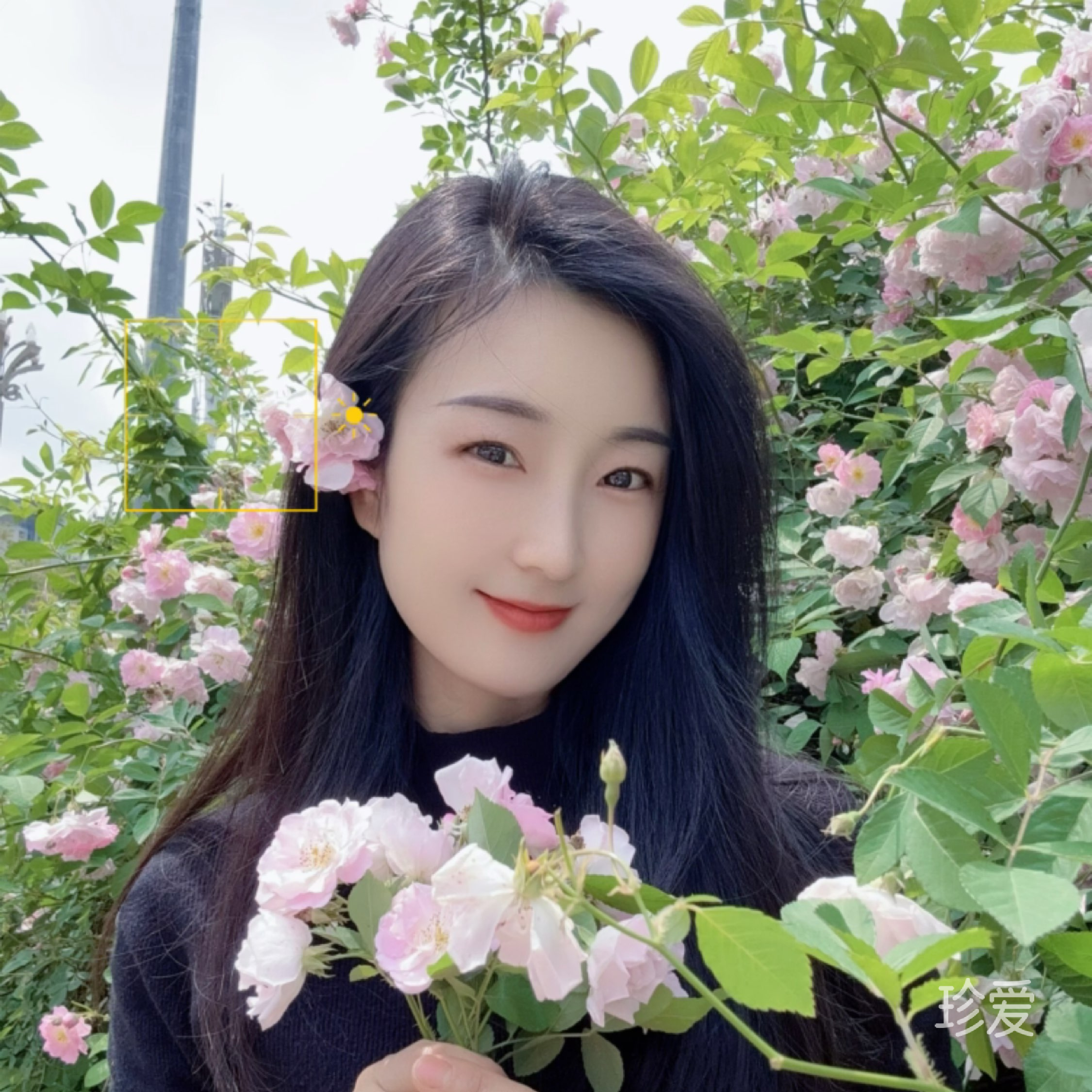 慧儿