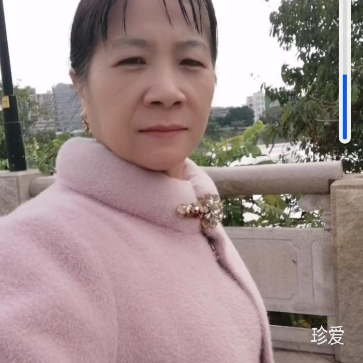 飛花如雨醉行人