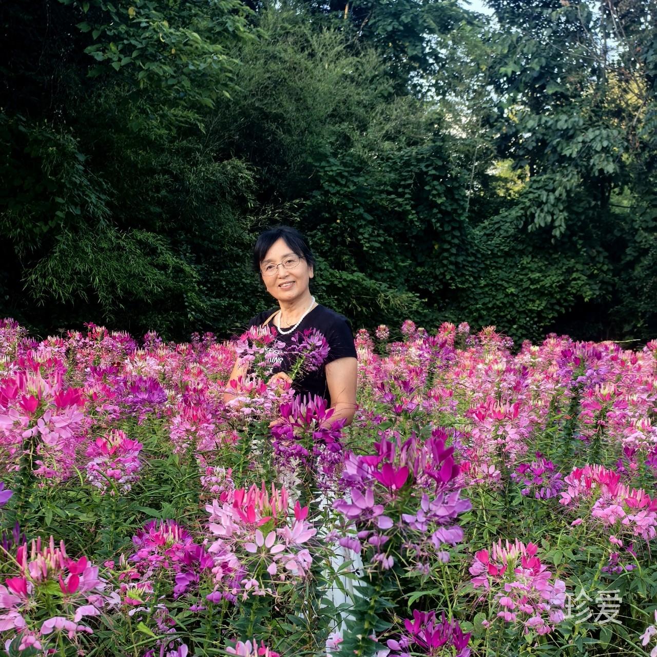悄无声息