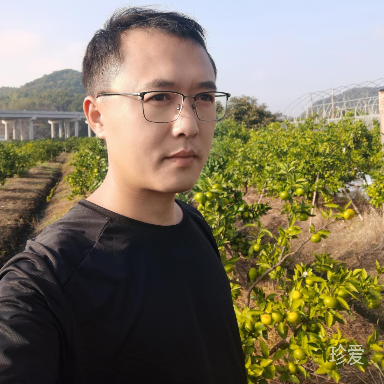 一杯淡淡的清茶