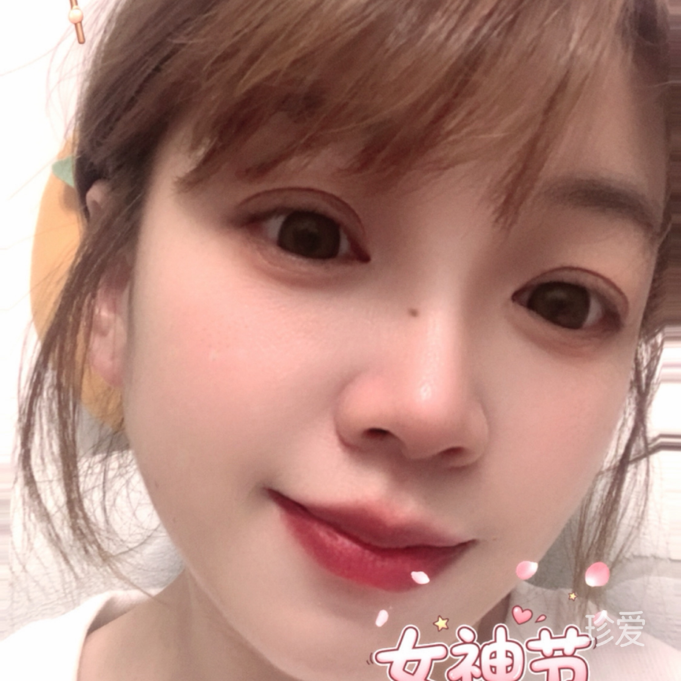 又傻又笨的猪