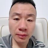 白头鹰
