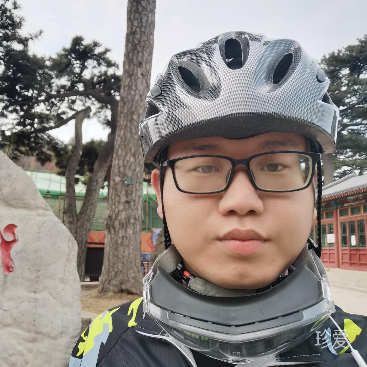 洁雁之雁