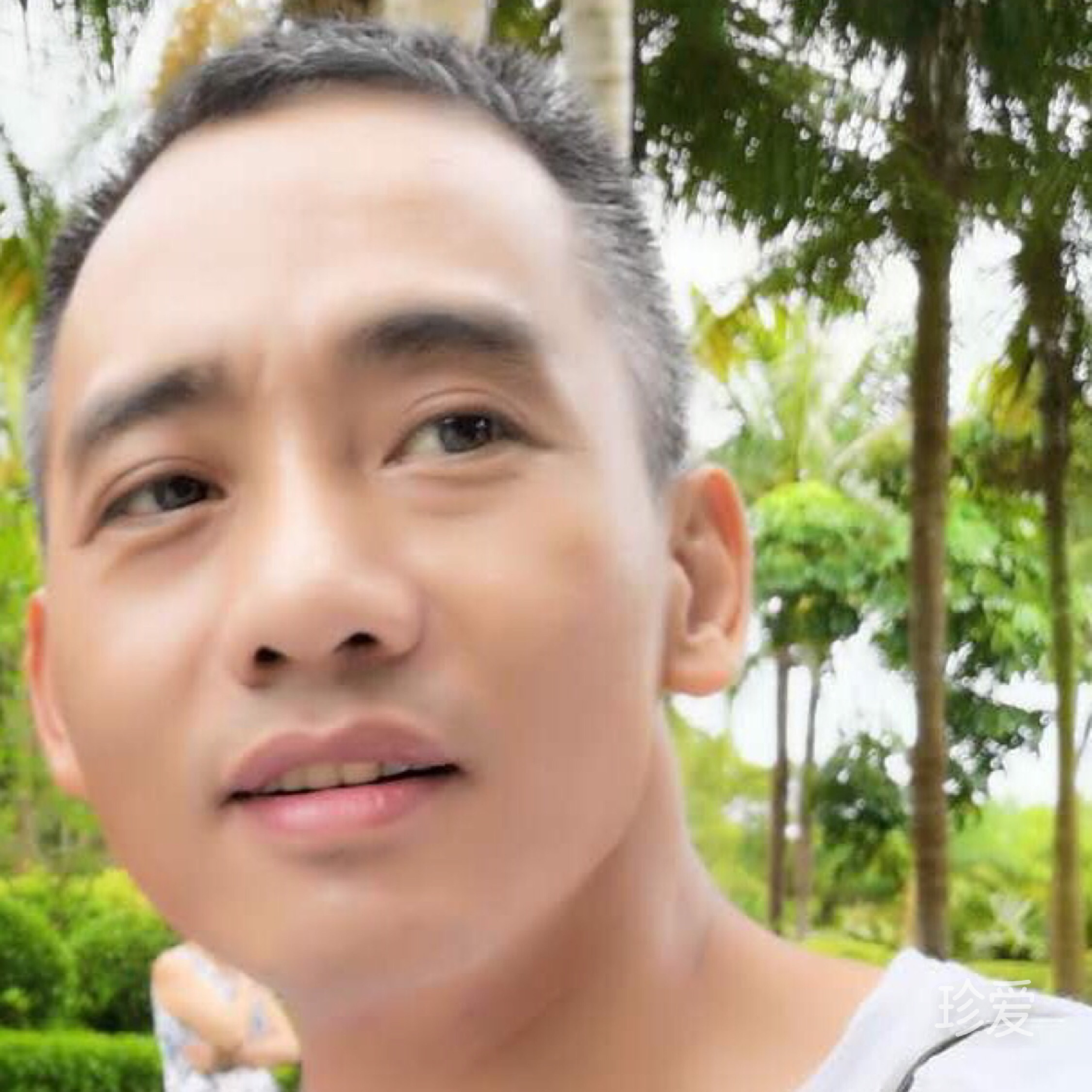 再敬往事一杯酒