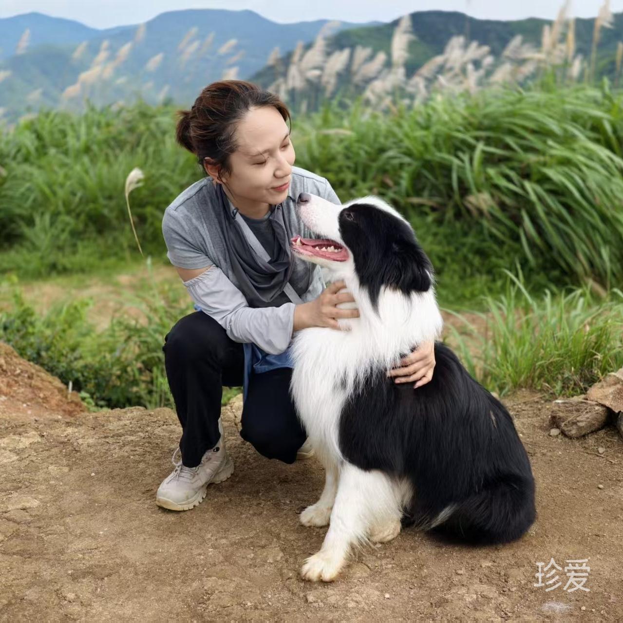 萤萤