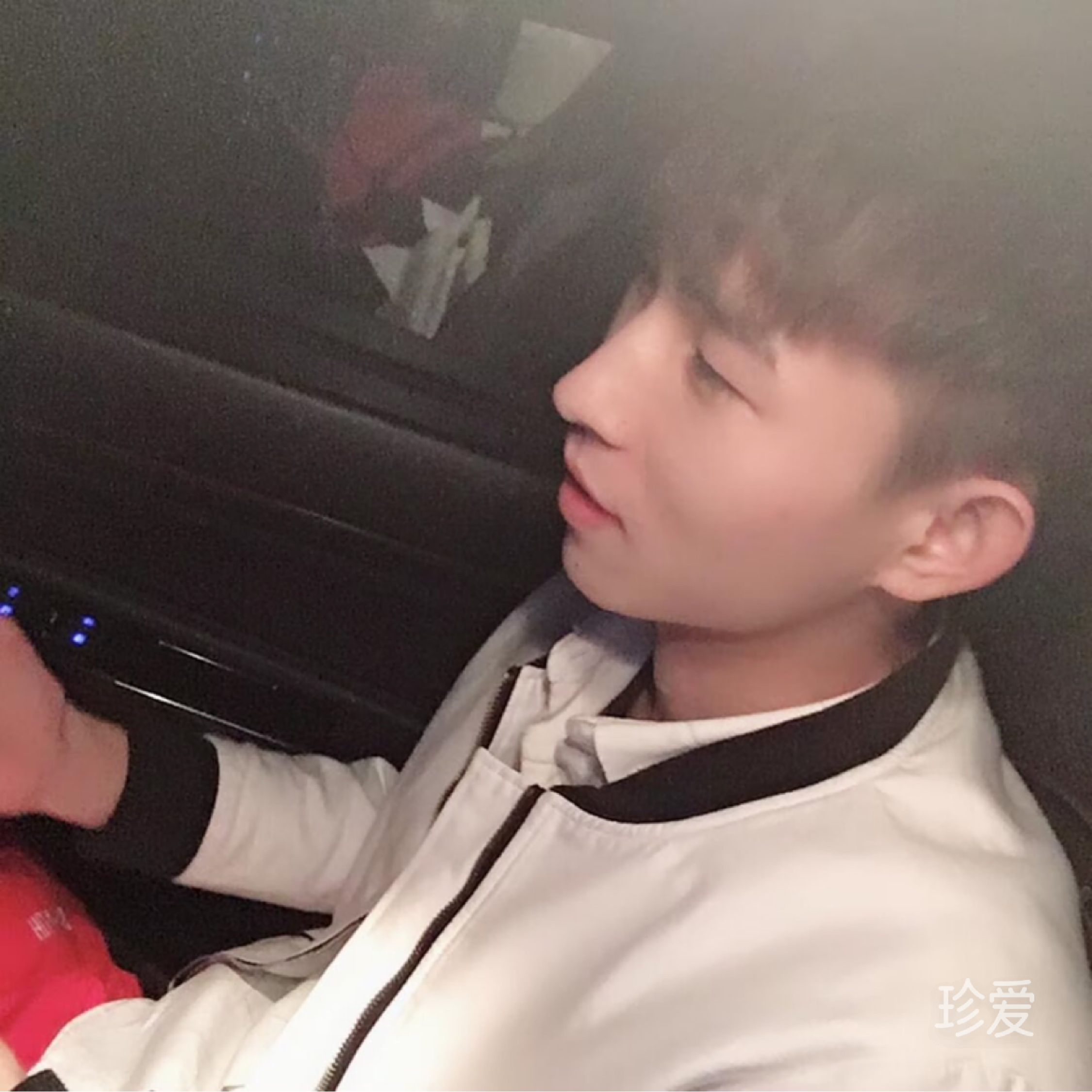 找个偷心的猫