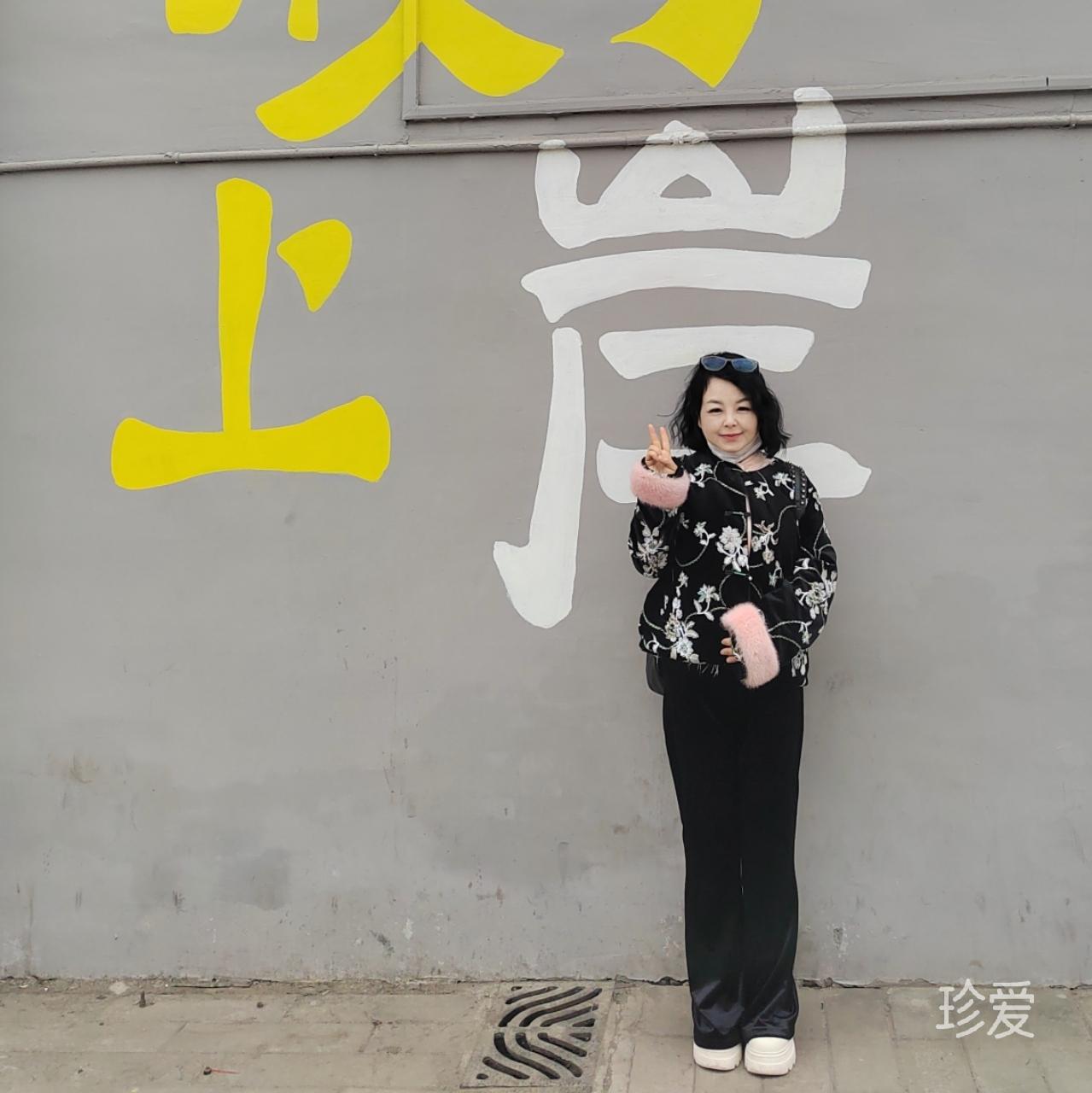 人生若只如初见