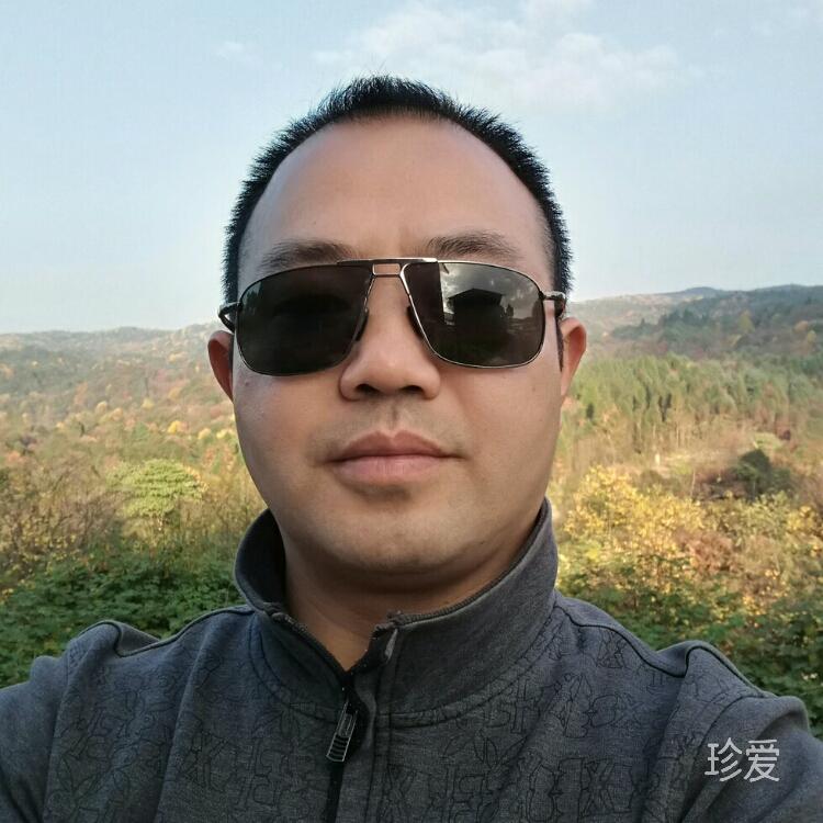 江南之岸
