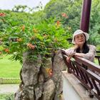 風(fēng)中的向日葵