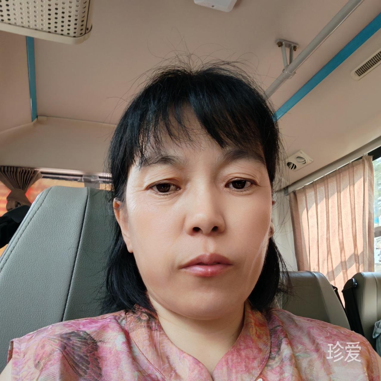 紫竹