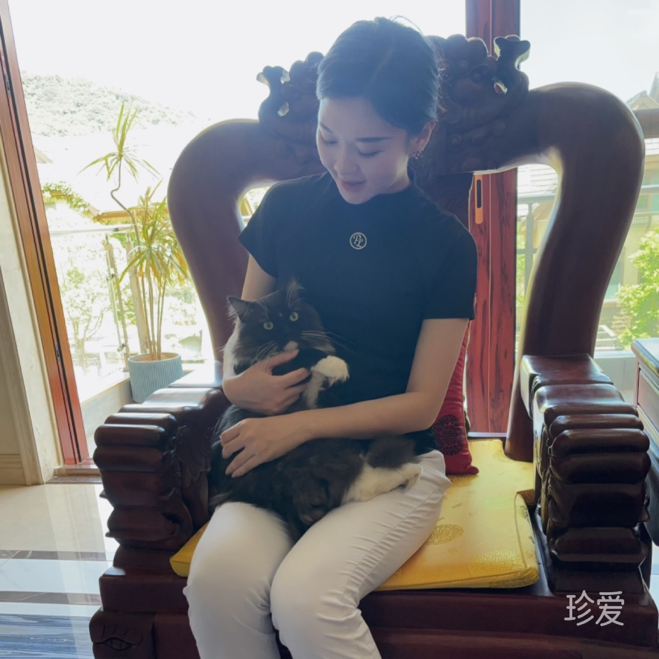 涵涵
