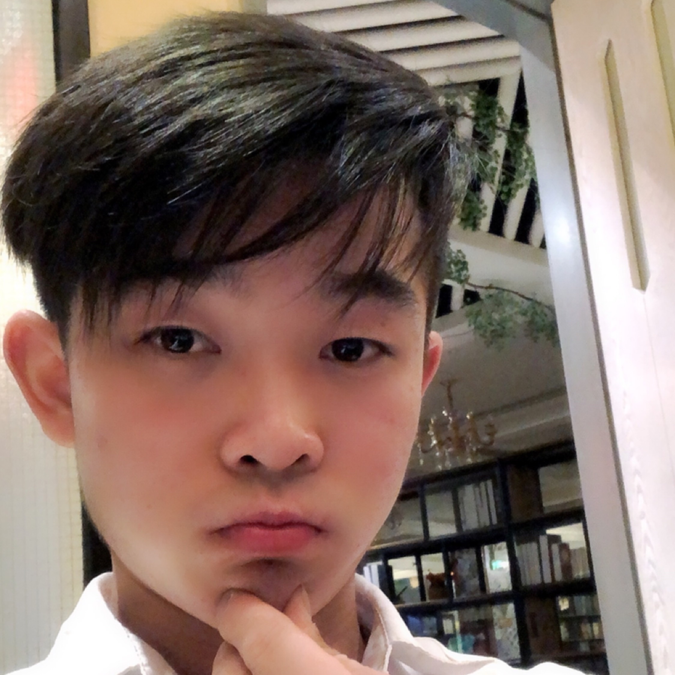金牛座小乐总