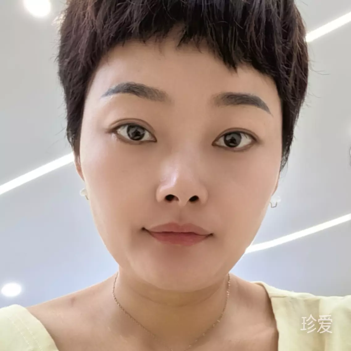 单飞的蝴蝶