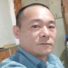 簡單的愛