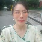 飛花輕似夢