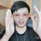 一只呆鳥