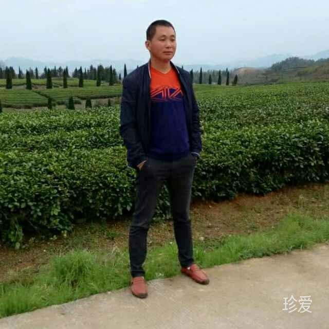 峰回路转