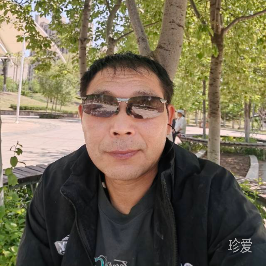 南京的森林