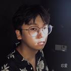 決斗呆呆鳥