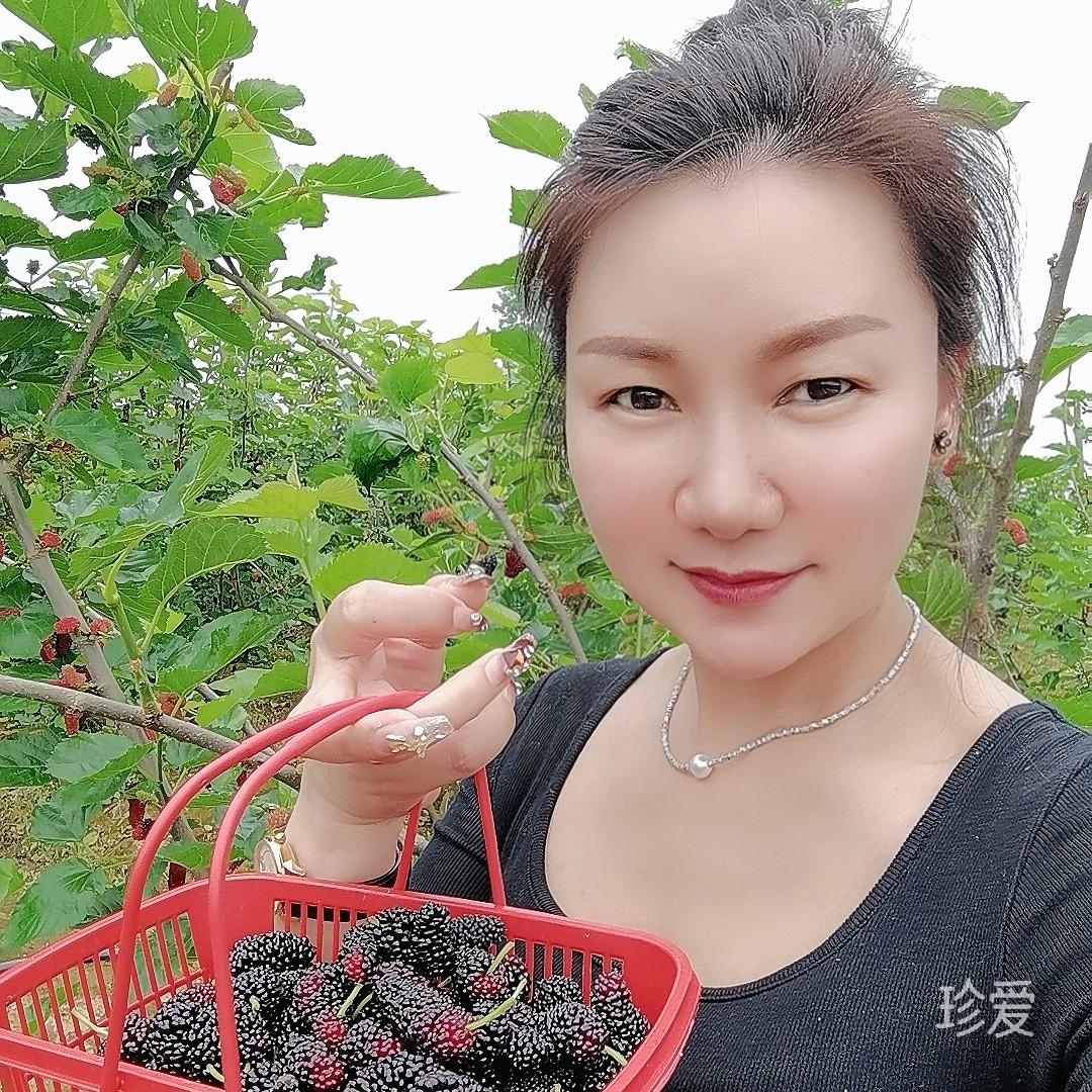 平凡不失高傲