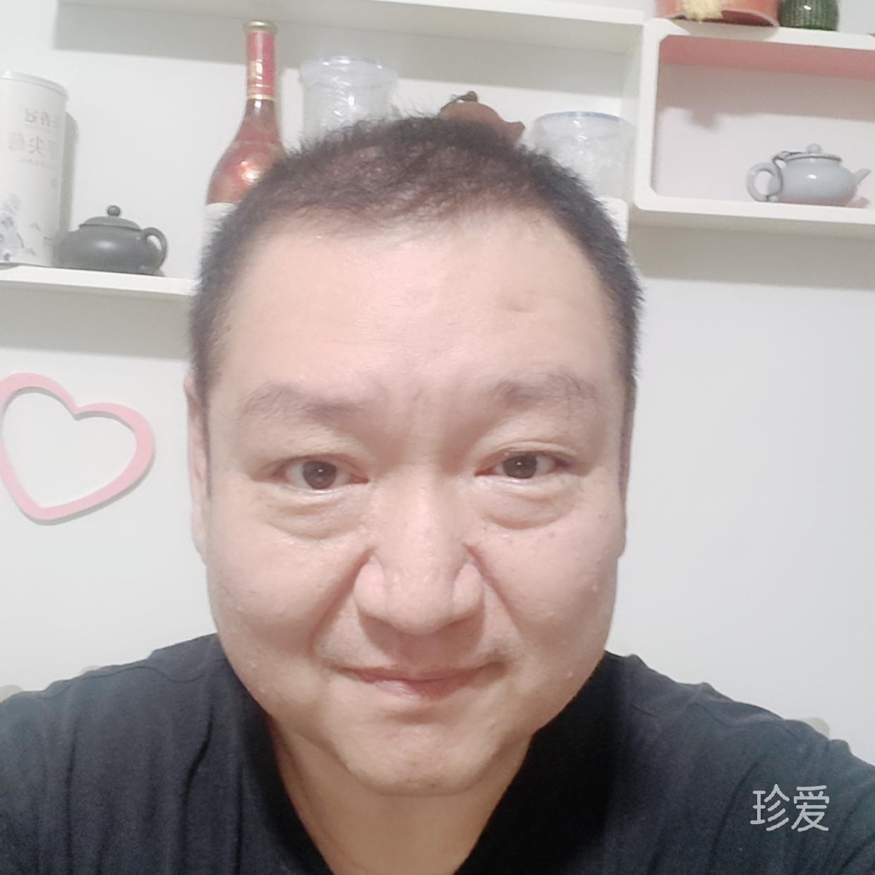 龙猫