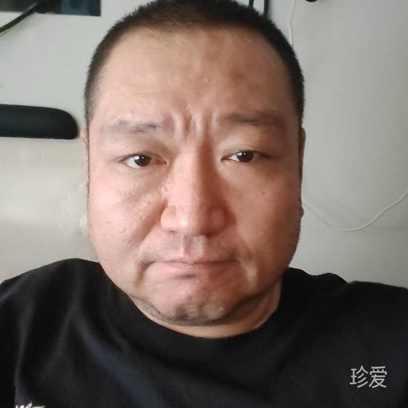 龙猫