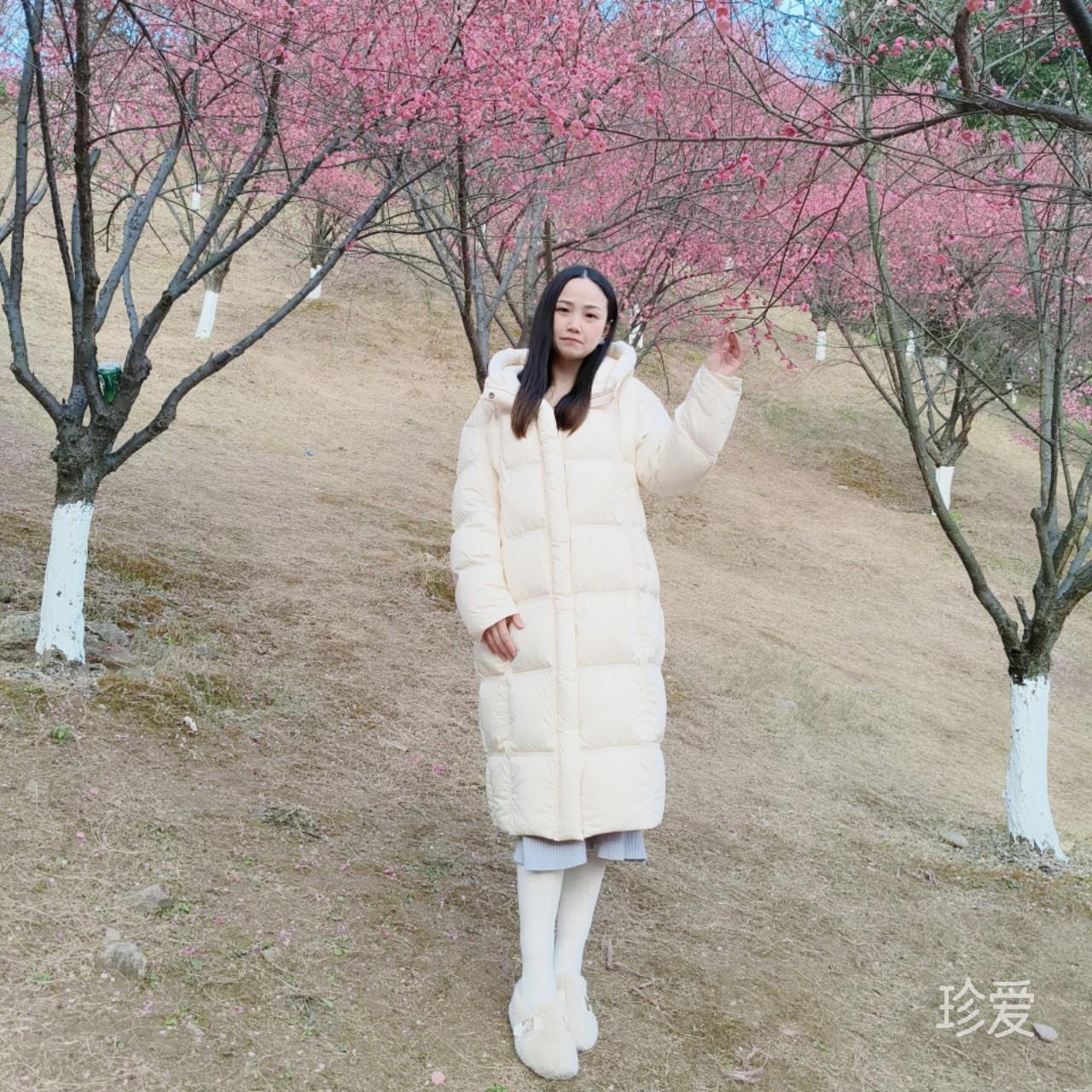 雪