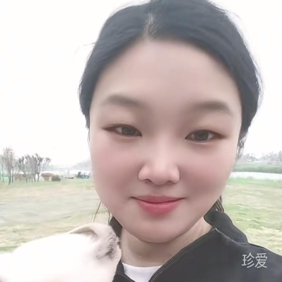 舊時微風拂曉城