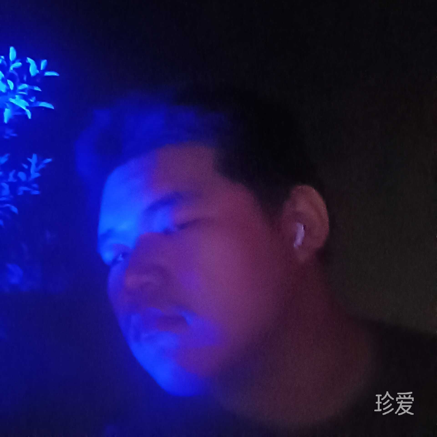 梦