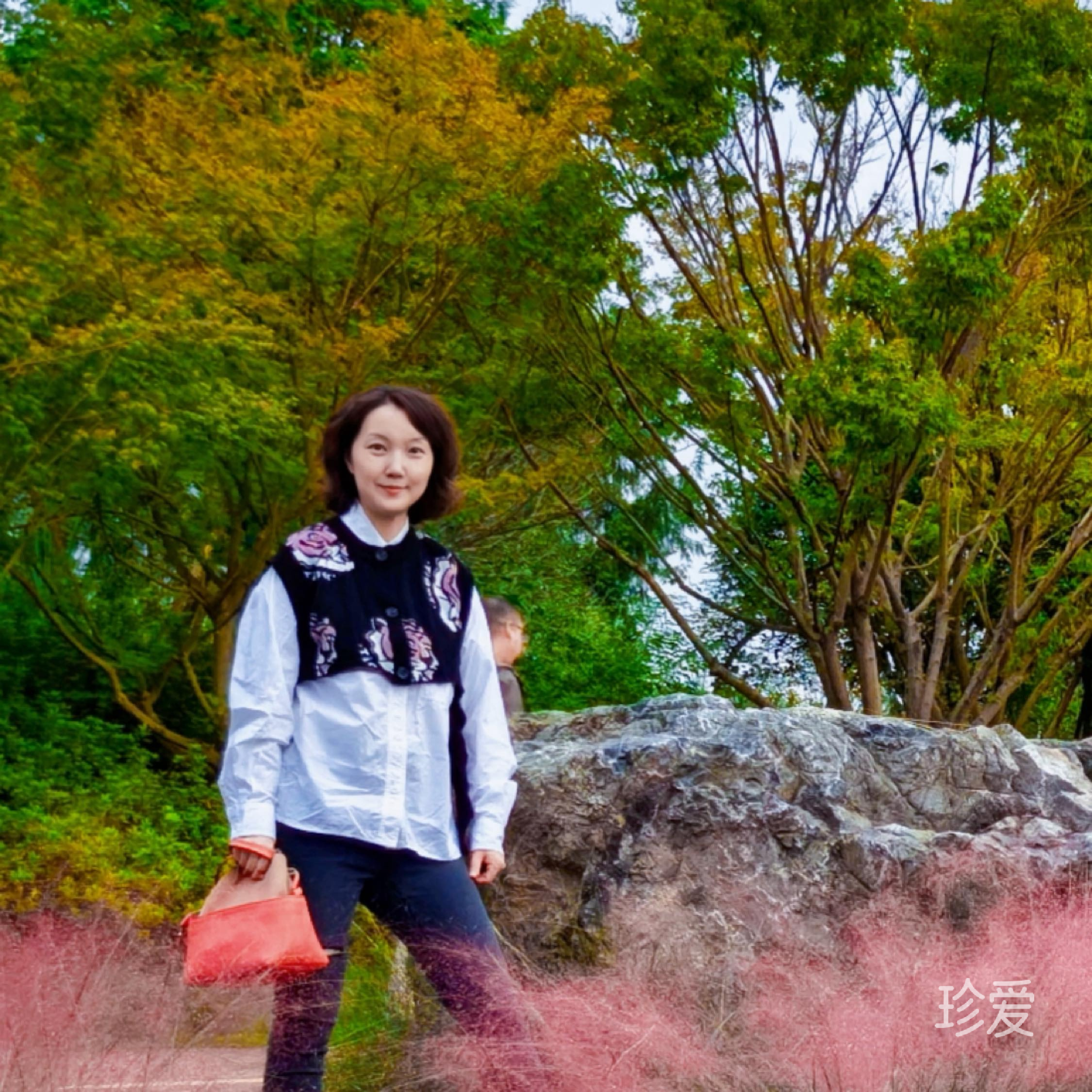 一颗心的坚持