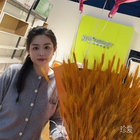 一場(chǎng)夢(mèng)而已
