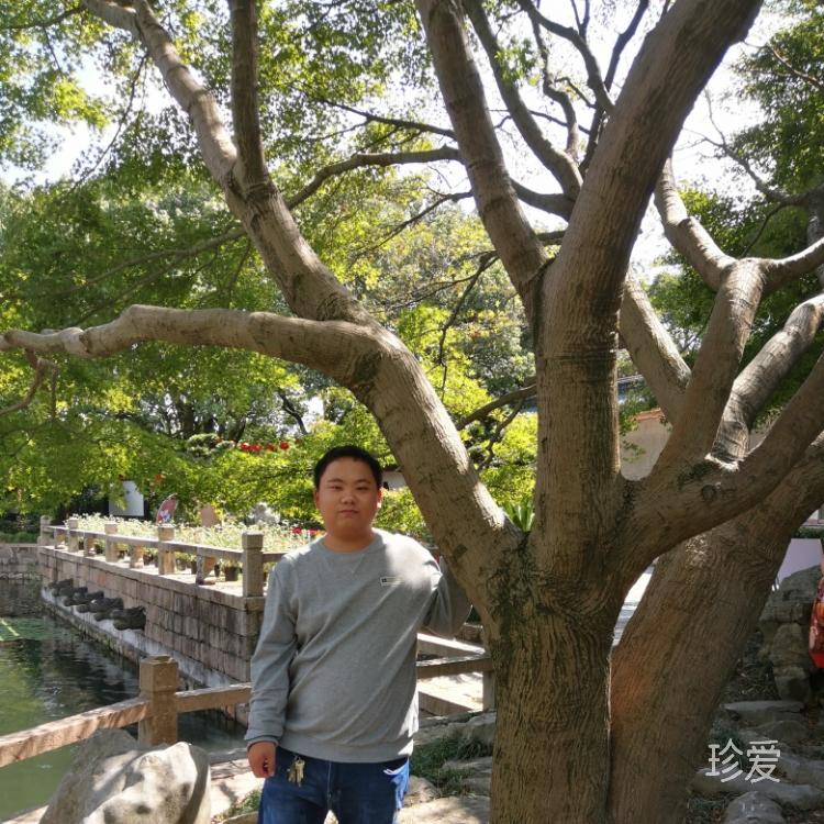 風(fēng)吹風(fēng)