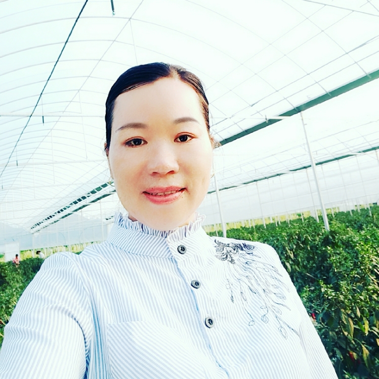 无公害有机蔬菜