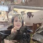 遲來(lái)的愛(ài)