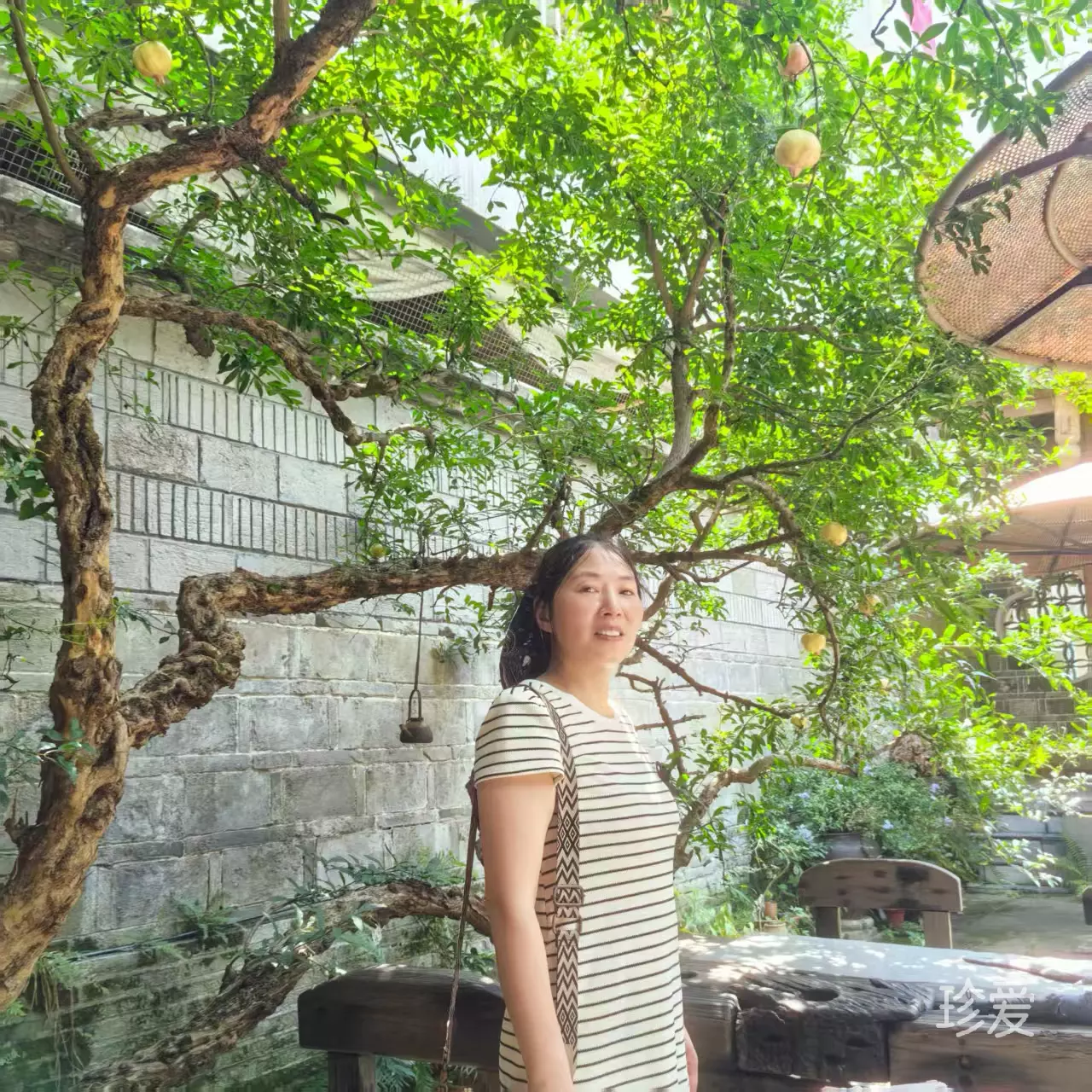凯特老师